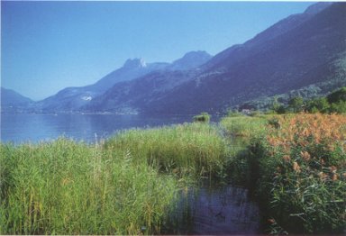 Rserve naturelle du bout du lac